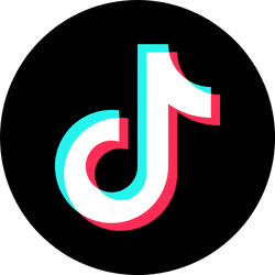 tiktok video download